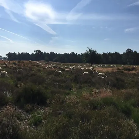 Bed and breakfast In De Buurt Waalwijk