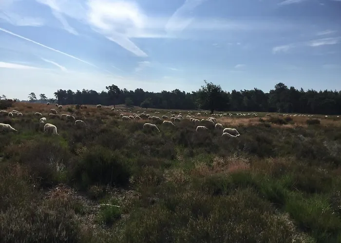 فندق مبيت وإفطار In De Buurt فالفيك